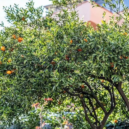 Suite Apartment Taormina 4* تاورمينا