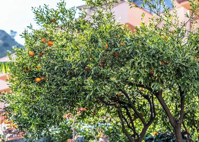 Suite Apartment Taormina 4* Taormina
